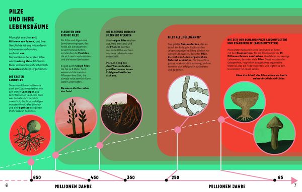 Produktbild: Die Geheimnisse der Pilze