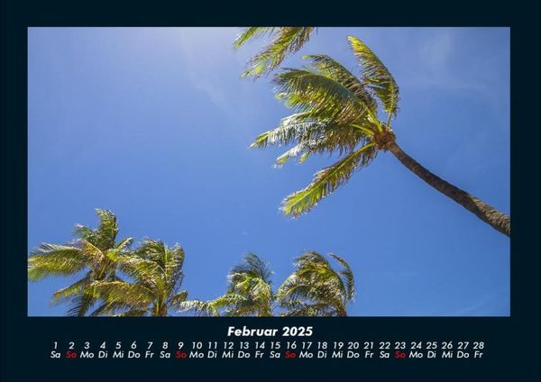 Produktbild: Palmentraum 2025 Fotokalender DIN A4