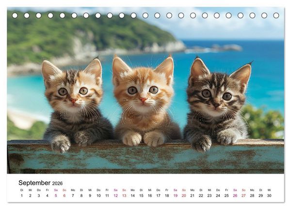 Produktbild: Katzenzauber - Samtpfoten im Jahreslauf (Tischkalender 2026 DIN A5 quer), CALVENDO Monatskalender