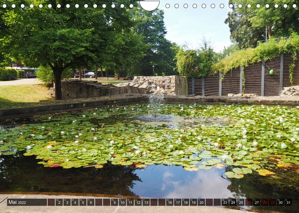 Produktbild: Neustadt am R&uuml;benberge Natur in Stadtn&auml;he (Wandkalender 2022 DIN A4 quer)