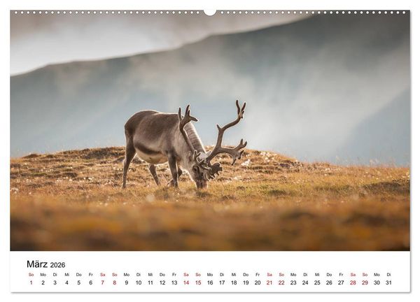 Produktbild: Spitzbergenkalender (Wandkalender 2026 DIN A2 quer), CALVENDO Monatskalender