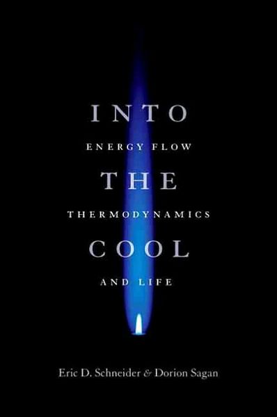 Produktbild: Into The Cool