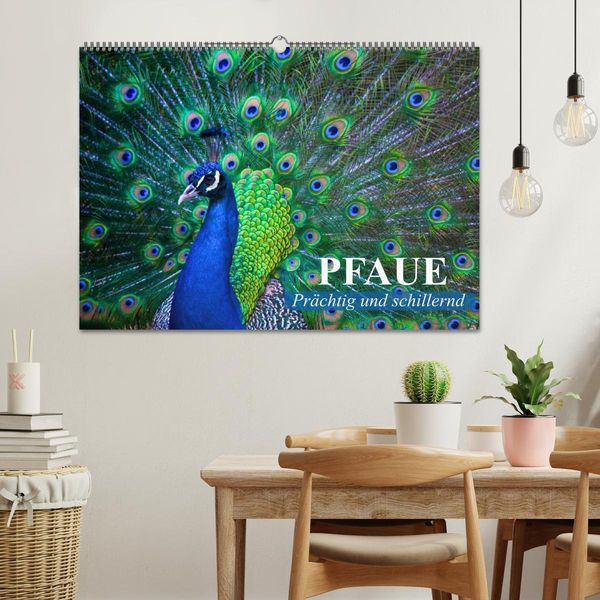 Produktbild: Pfaue. Pr&auml;chtig und schillernd (Wandkalender 2026 DIN A2 quer), CALVENDO Monatskalender