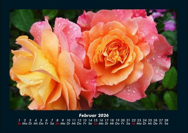 Produktbild: Blumentr&auml;ume 2026 Fotokalender DIN A4