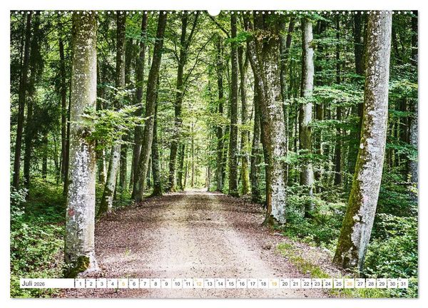 Produktbild: B&auml;ume im Altm&uuml;hltal (hochwertiger Premium Wandkalender 2026 DIN A2 quer), Kunstdruck in Hochglanz
