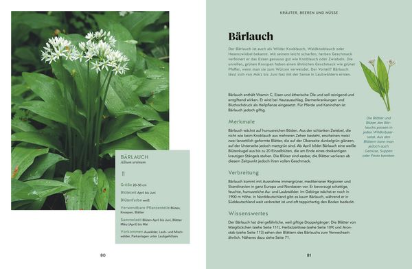 Produktbild: Abenteuer Wald