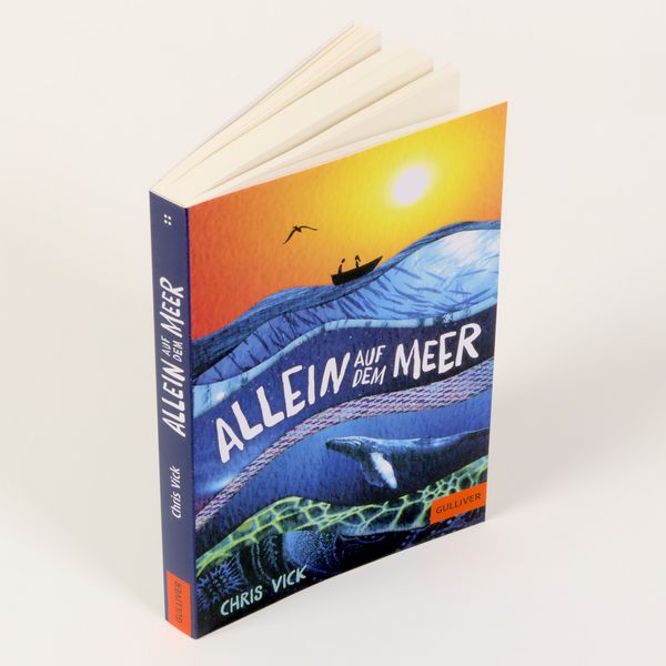 Produktbild: Allein auf dem Meer