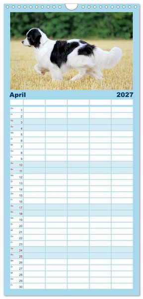 Produktbild: Familienplaner 2027 - Landseer - Das Wasser ist ihr Element mit 5 Spalten (Wandkalender, 21 x 45 cm) CALVENDO