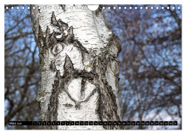 Produktbild: Magische Waldwesen (Wandkalender 2026 DIN A4 quer), CALVENDO Monatskalender