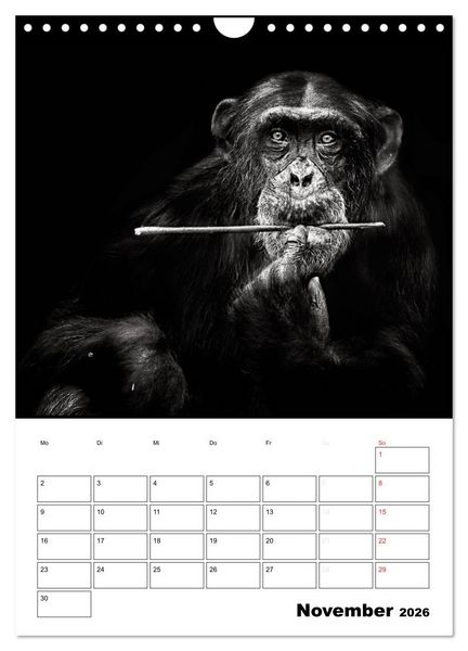 Produktbild: Charakterk&ouml;pfe aus der Welt der Tiere (Wandkalender 2026 DIN A4 hoch), CALVENDO Monatskalender
