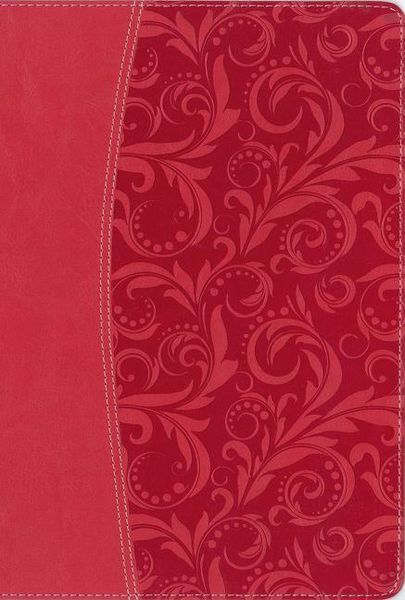 Produktbild: Niv Quest Study Bible Imit Pin