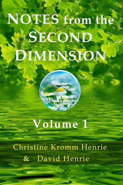 Produktbild: Notes from the Second Dimension