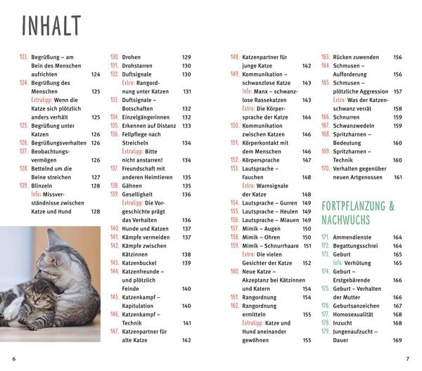 Produktbild: 300 Fragen zum Katzenverhalten