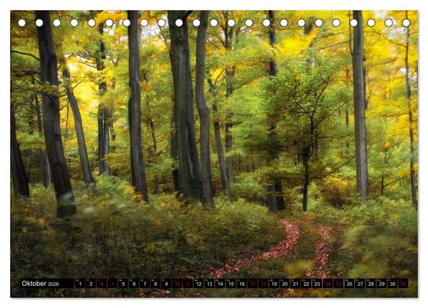Produktbild: Die Rh&ouml;n (Tischkalender 2026 DIN A5 quer), CALVENDO Monatskalender