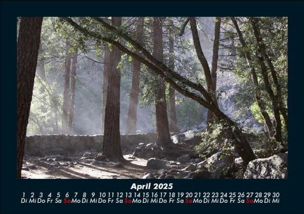 Produktbild: Waldzauber 2025 Fotokalender DIN A5