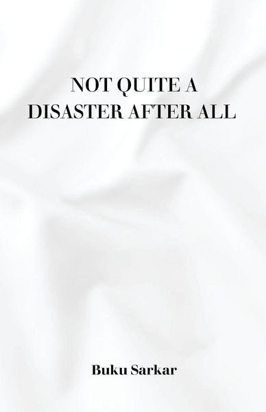 Produktbild: Not Quite a Disaster After All