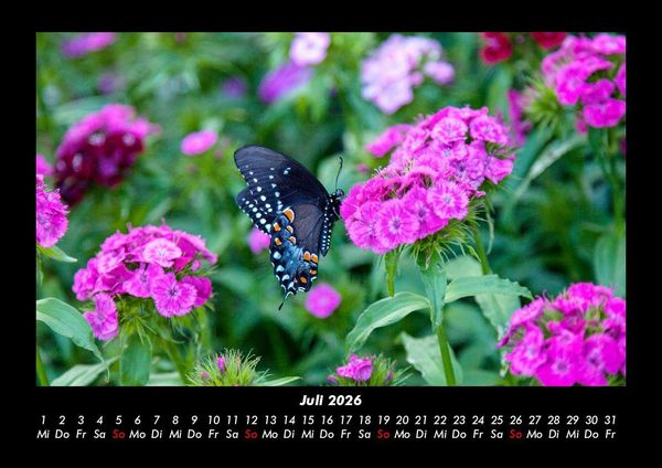 Produktbild: Blumenzauber 2026 Fotokalender DIN A3