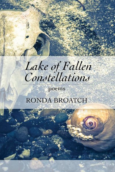 Produktbild: Lake of Fallen Constellations