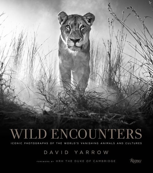 Produktbild: Yarrow, D: Wild Encounters