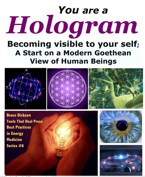 Produktbild: You Are a Hologram Becoming Visible to Your Self; A Start on a Modern Goethean View of Human Beings