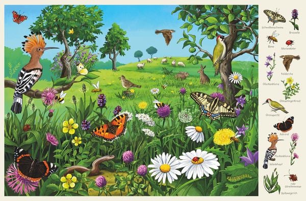 Produktbild: Mein gro&szlig;es Wimmelbuch Natur