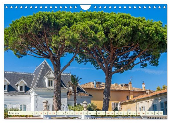 Produktbild: Mediterrane Flora - Pflanzen des S&uuml;dens (Wandkalender 2026 DIN A4 quer), CALVENDO Monatskalender