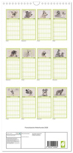 Produktbild: Familienplaner 2026 - Franz&ouml;sische Hirtenhunde 2026 mit 5 Spalten (Wandkalender, 21 x 45 cm) CALVENDO