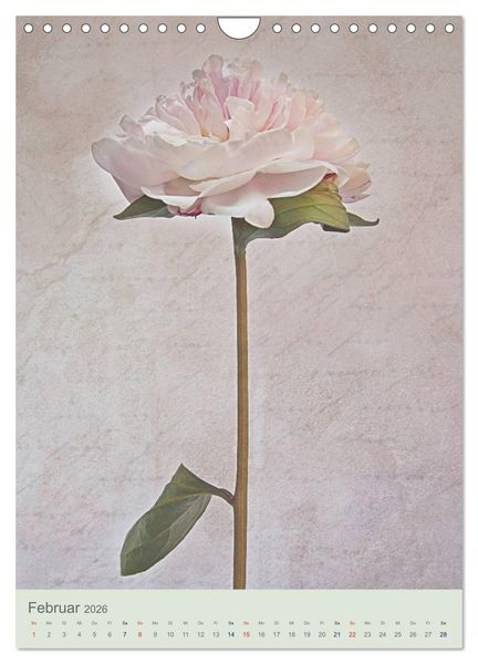 Produktbild: Flora (Wandkalender 2026 DIN A4 hoch), CALVENDO Monatskalender