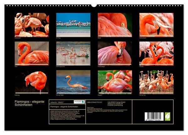 Produktbild: Flamingos - elegante Sch&ouml;nheiten (hochwertiger Premium Wandkalender 2026 DIN A2 quer), Kunstdruck in Hochglanz