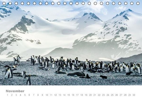 Produktbild: ANTARKTIS (Tischkalender immerw&auml;hrend DIN A5 quer)