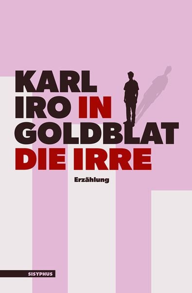 Produktbild: In die Irre