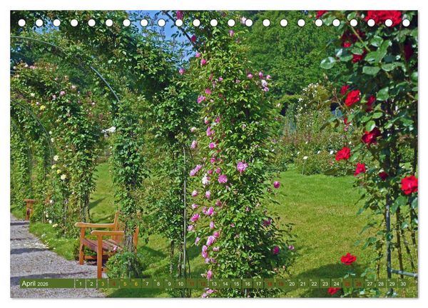 Produktbild: Rosengarten auf dem Beutig (Tischkalender 2026 DIN A5 quer), CALVENDO Monatskalender