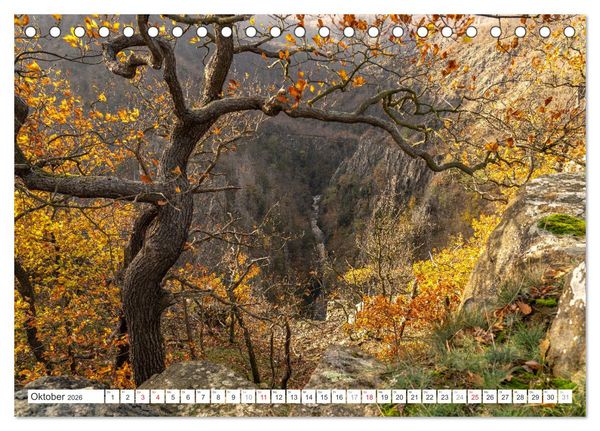 Produktbild: Deutsche Bundesl&auml;nder - Sachsen-Anhalt (Tischkalender 2026 DIN A5 quer), CALVENDO Monatskalender