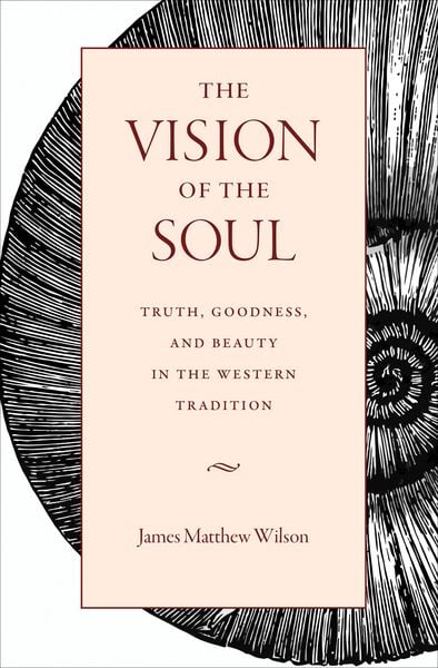 Produktbild: The Vision of the Soul