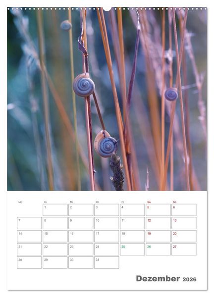 Produktbild: Helden in der Natur (Wandkalender 2026 DIN A2 hoch), CALVENDO Monatskalender
