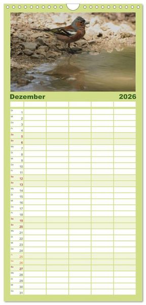 Produktbild: Familienplaner 2026 - Die farbenfrohe Welt der Finken mit 5 Spalten (Wandkalender, 21 x 45 cm) CALVENDO