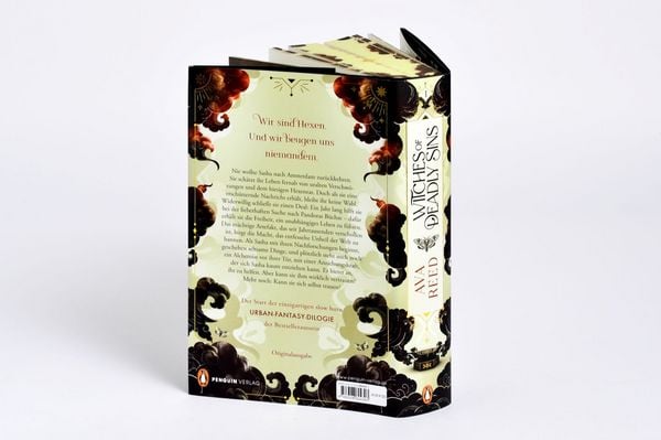Produktbild: Witches of Deadly Sins