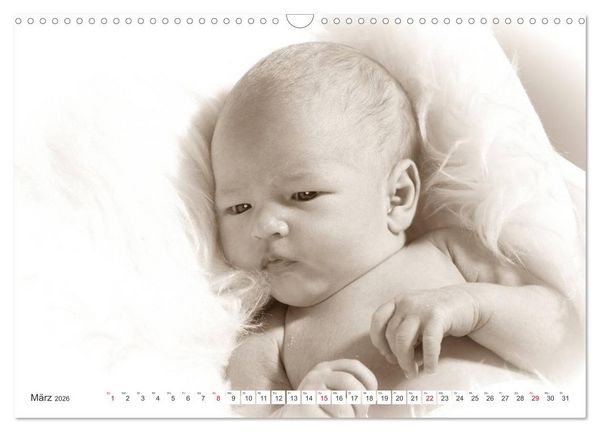 Produktbild: Babys - Willkommen im Leben (Wandkalender 2026 DIN A3 quer), CALVENDO Monatskalender