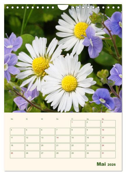Produktbild: Vertr&auml;umte G&auml;nsebl&uuml;mchen (Wandkalender 2026 DIN A4 hoch), CALVENDO Monatskalender