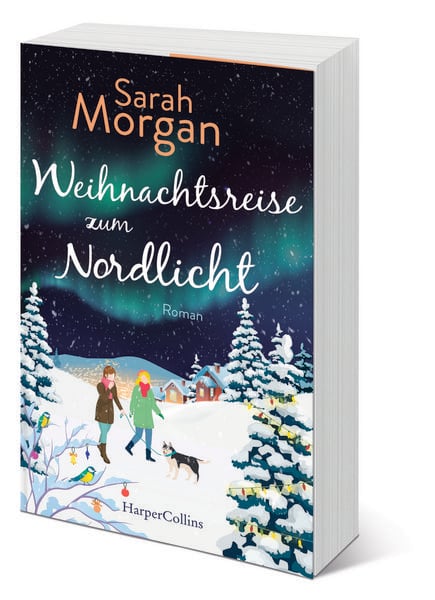Produktbild: Weihnachtsreise zum Nordlicht