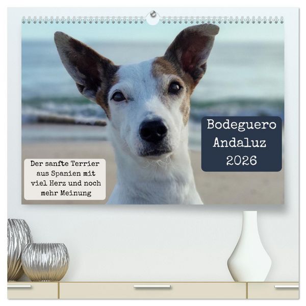 Produktbild: Ratonero Bodeguero Andaluz (hochwertiger Premium Wandkalender 2026 DIN A2 quer), Kunstdruck in Hochglanz