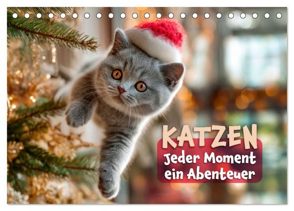 Produktbild: Katzen - Jeder Moment ein Abenteuer (Tischkalender 2027 DIN A5 quer), CALVENDO Monatskalender
