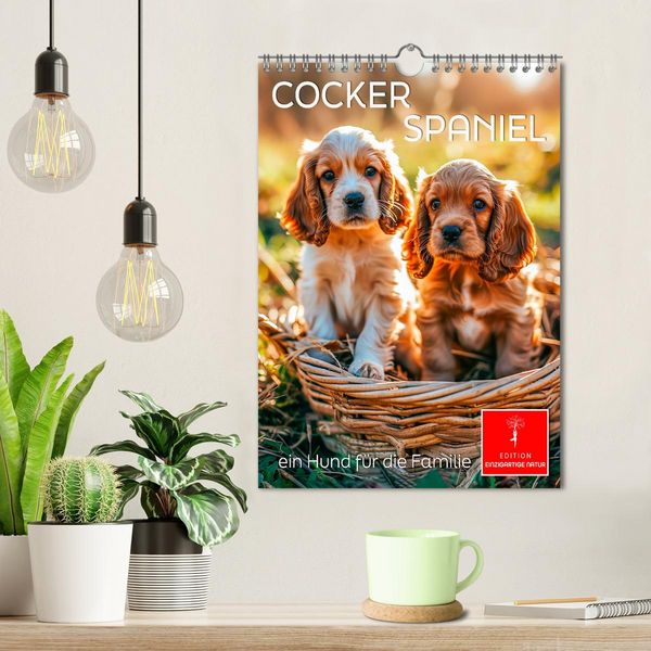 Produktbild: Cocker Spaniel - ein Hund f&uuml;r die Familie (Wandkalender 2026 DIN A4 hoch), CALVENDO Monatskalender