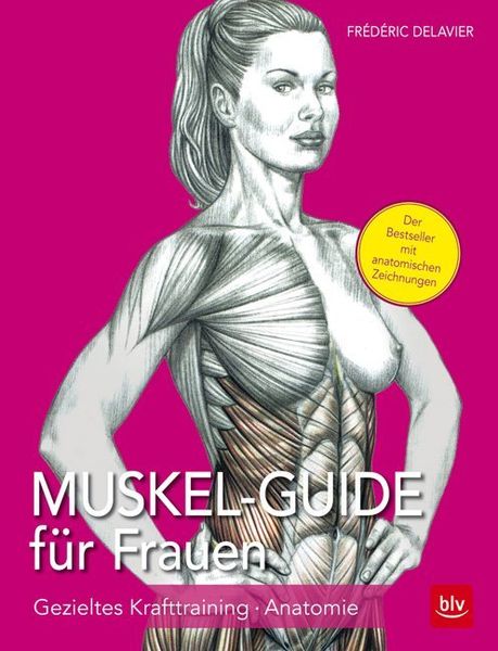 Muskel Guide für Frauen