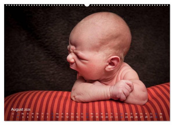 Produktbild: Baby - s&uuml;&szlig;e Tr&auml;ume (Wandkalender 2026 DIN A2 quer), CALVENDO Monatskalender