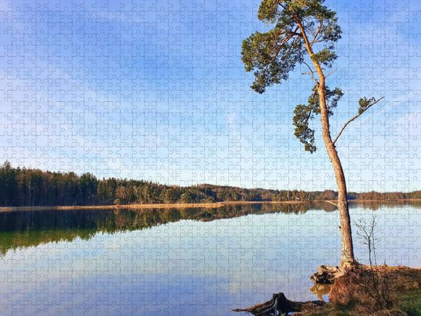 Produktbild: CALVENDO Puzzle Akzeptanz statt Widerstand - Baum an den Osterseen | 1000 Teile Lege-Gr&ouml;&szlig;e 64x48cm Foto-Puzzle f&uuml;r gl&uuml;ckliche Stunden