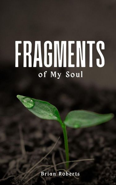 Produktbild: Fragments of My Soul