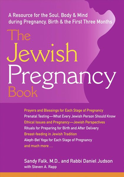 Produktbild: The Jewish Pregnancy Book
