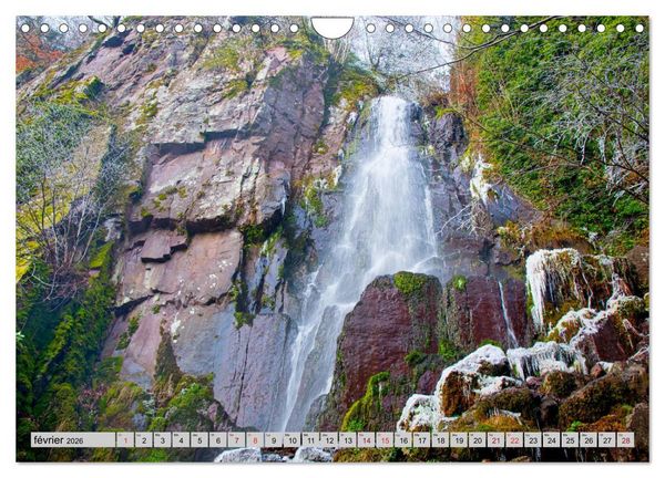 Produktbild: Splendeurs des Vosges (Calendrier mural 2026 DIN A4 vertical), CALVENDO calendrier mensuel