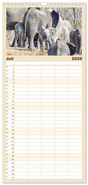Produktbild: Familienplaner 2026 - Babyelefanten mit 5 Spalten (Wandkalender, 21 x 45 cm) CALVENDO